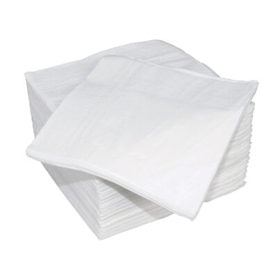 Napkin 2ply Cocktail White N24