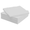 Napkin 2ply Lunch White