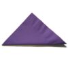 Napkin Purple Lunch 2ply